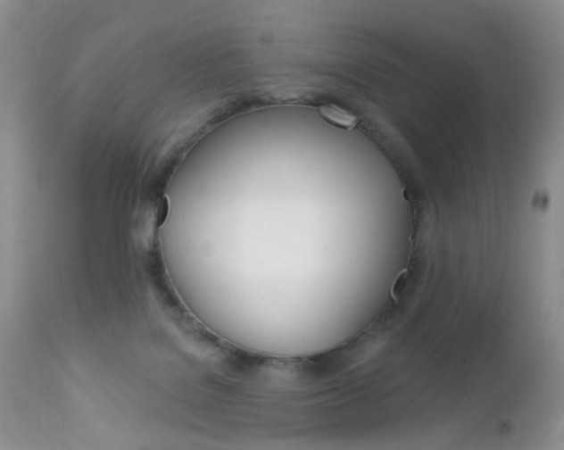 X0000113120076200908281052