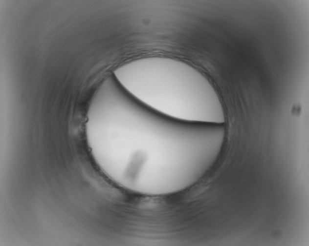X0000113120077200908281052