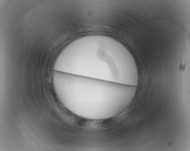 X0000113120078200908281052