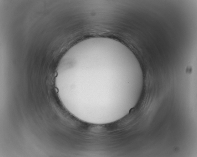 X0000113120079200908281052