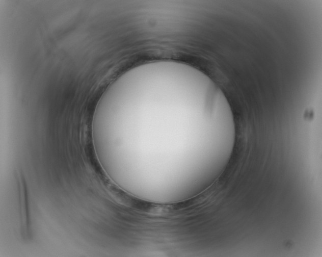 X0000113120080200908281052