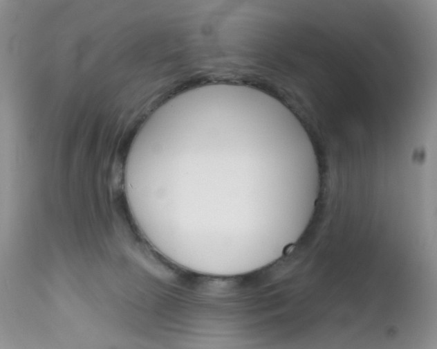 X0000113120081200908281052