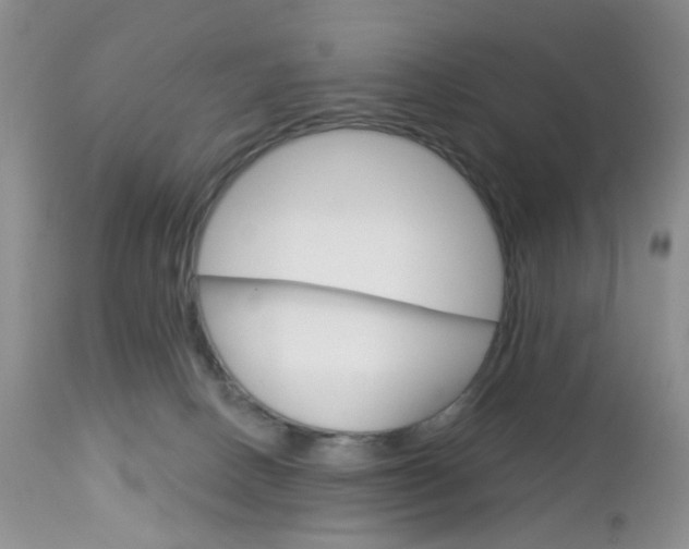 X0000113120082200908281052