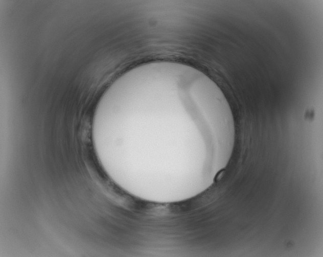 X0000113120083200908281052