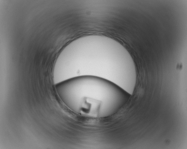 X0000113120084200908281052