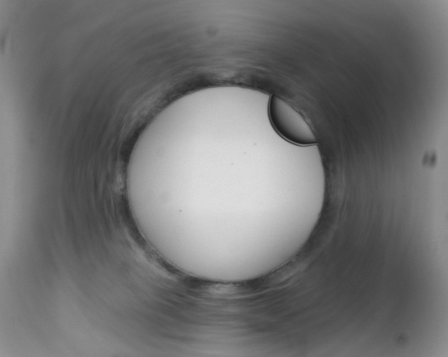 X0000113120085200908281052