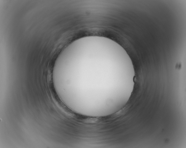 X0000113120086200908281052
