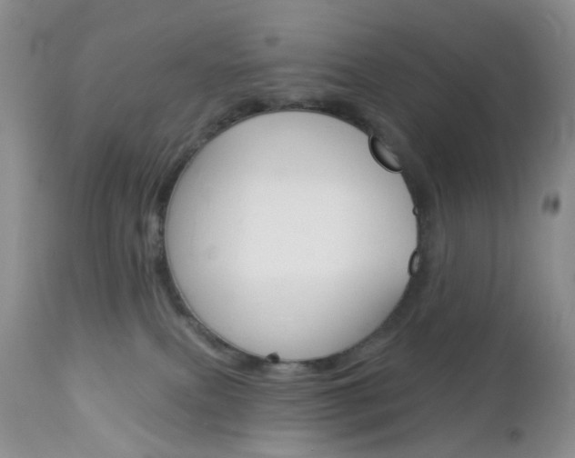 X0000113120087200908281052