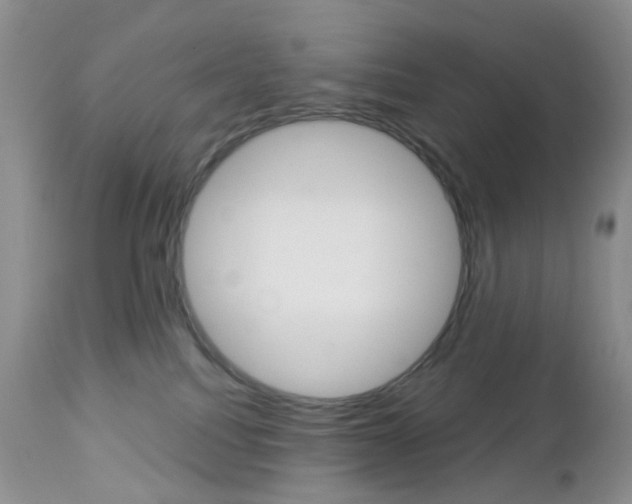 X0000113120088200908281052