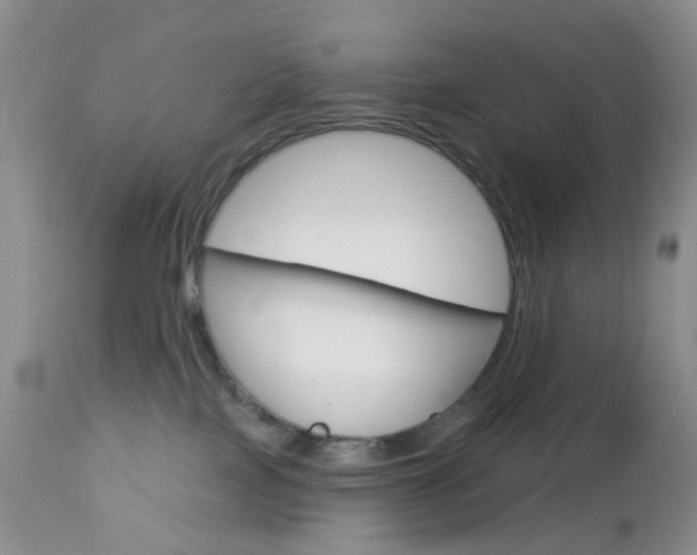 X0000113120089200908281052
