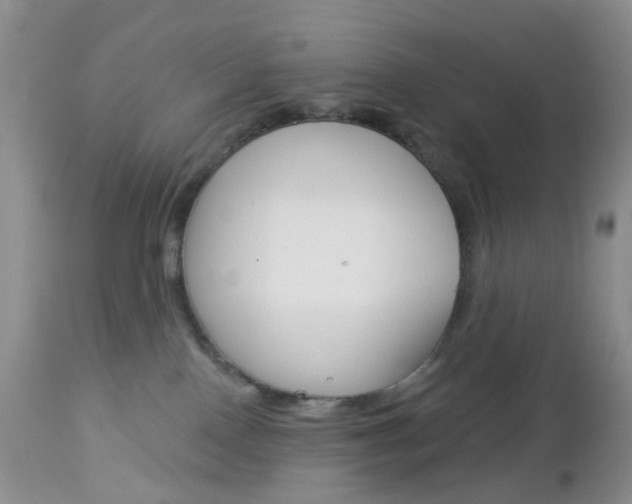 X0000113120090200908281052