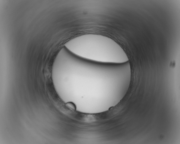 X0000113120091200908281052
