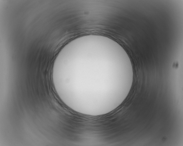 X0000113120092200908281052