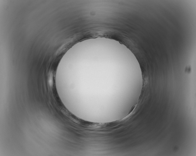 X0000113120094200908281052