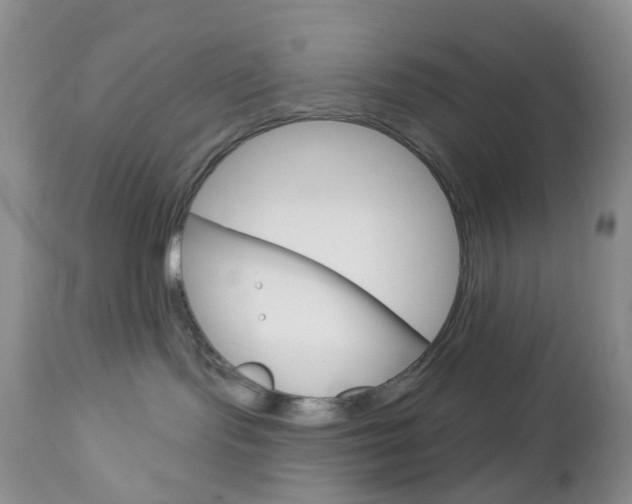 X0000113120095200908281052