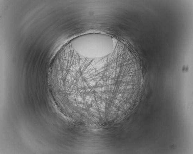 X0000113120098200908281051