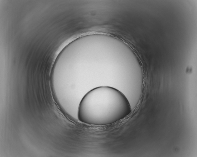 X0000113120100200908281051