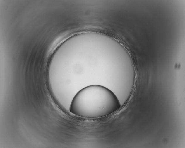 X0000113120101200908281051