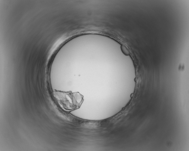 X0000113120102200908281051