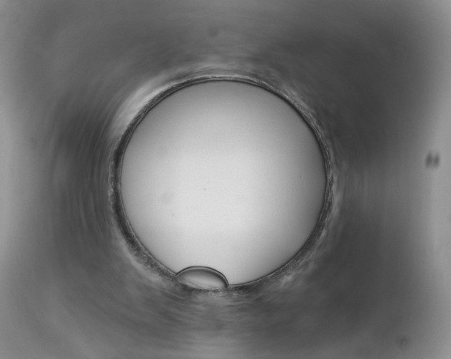 X0000113120103200908281051