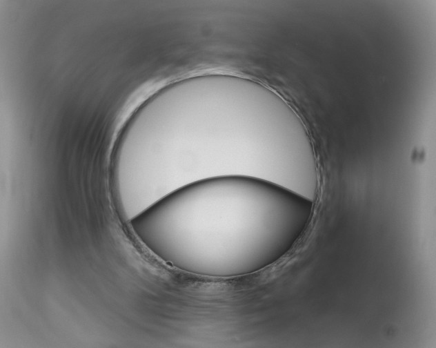 X0000113120104200908281051