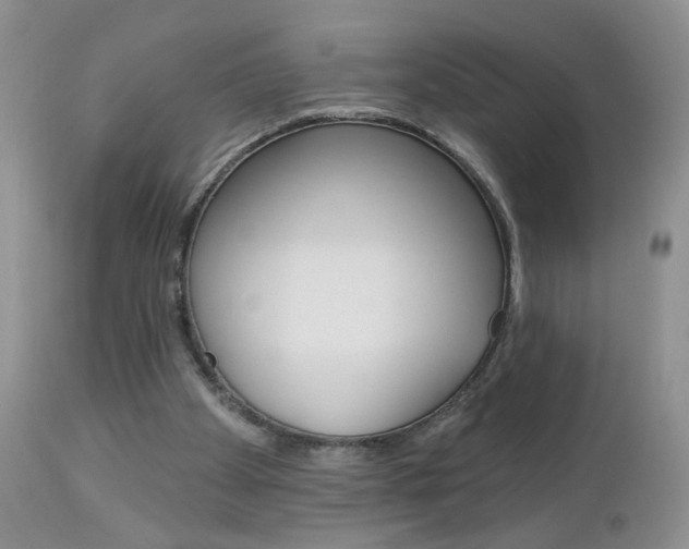 X0000113120105200908281051