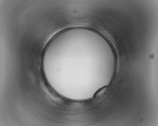 X0000113120107200908281051