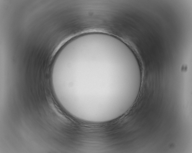 X0000113120108200908281051