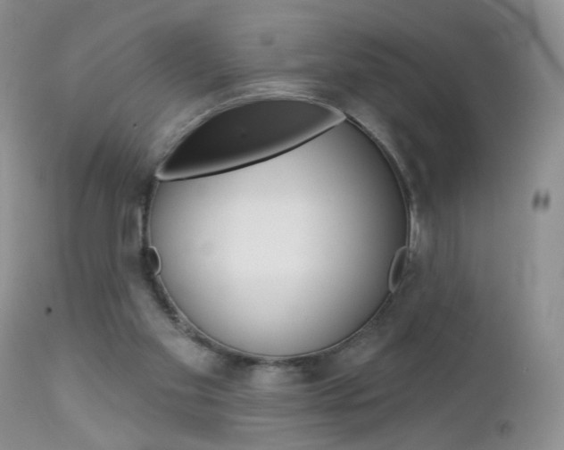X0000113120109200908281051