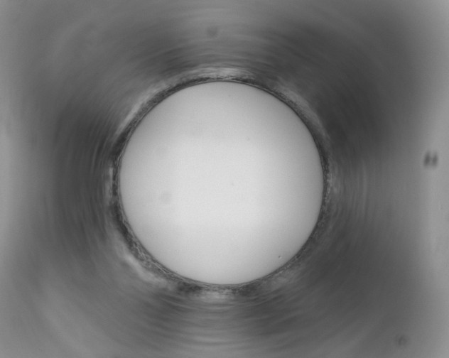X0000113120110200908281051
