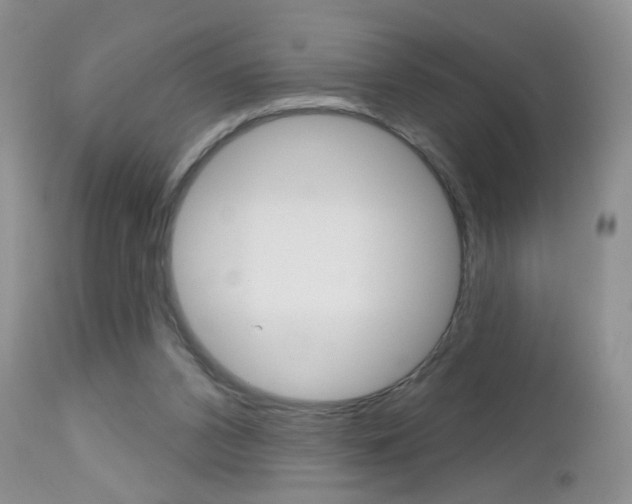 X0000113120112200908281051