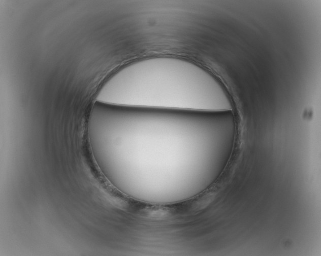 X0000113120113200908281051