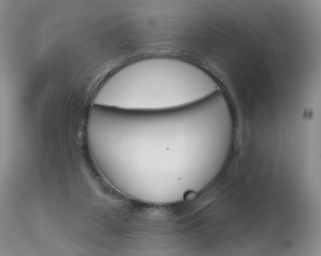X0000113120115200908281051