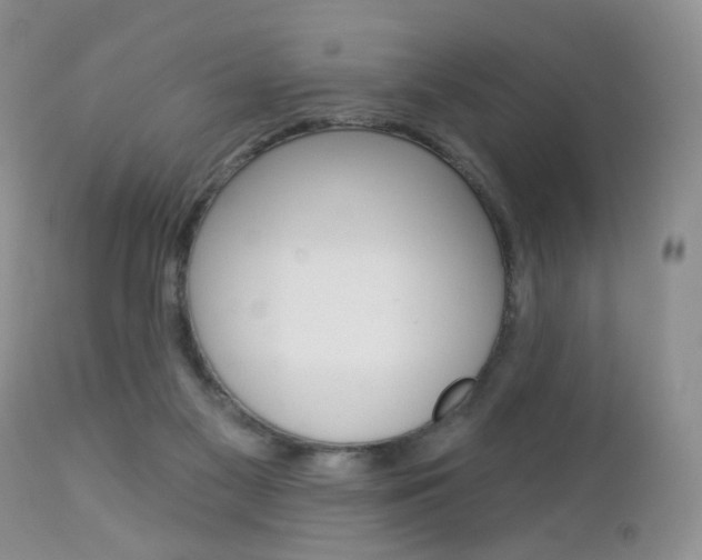 X0000113120117200908281051