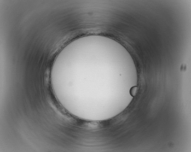 X0000113120118200908281051