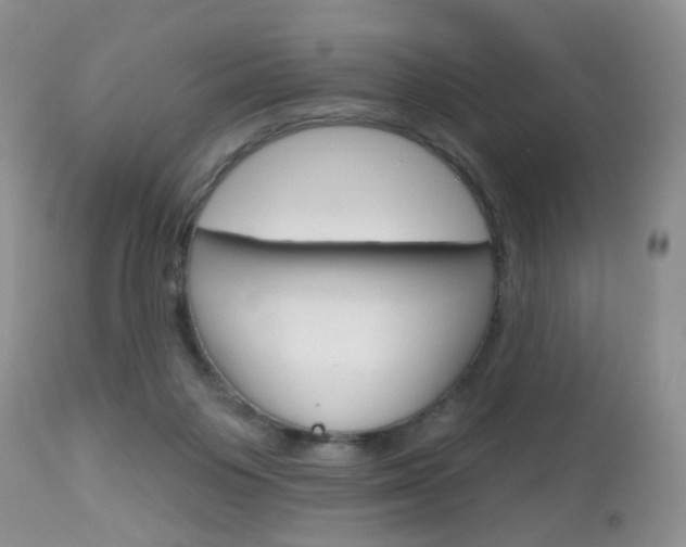 X0000113120119200908281051