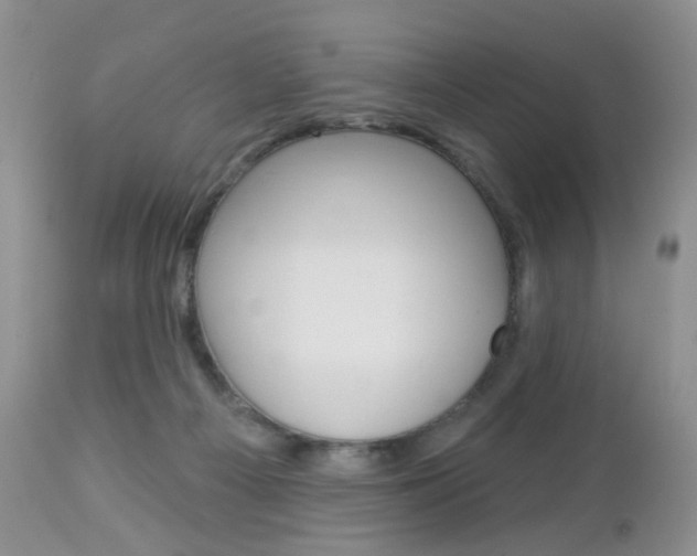 X0000113120121200908281051