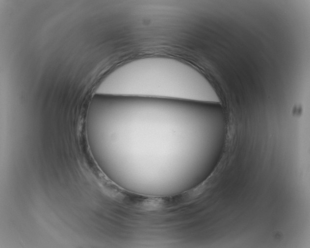 X0000113120124200908281051