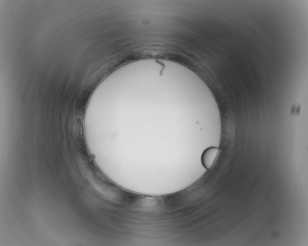 X0000113120126200908281051
