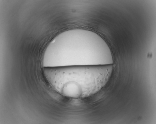 X0000113120127200908281051