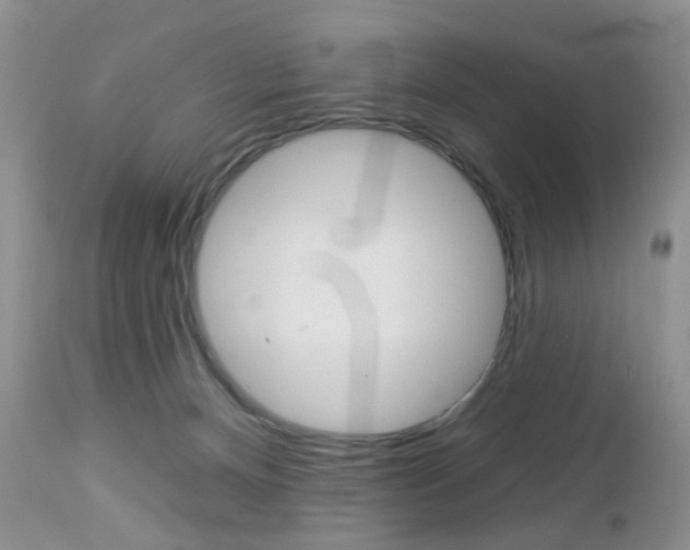X0000113120128200908281051