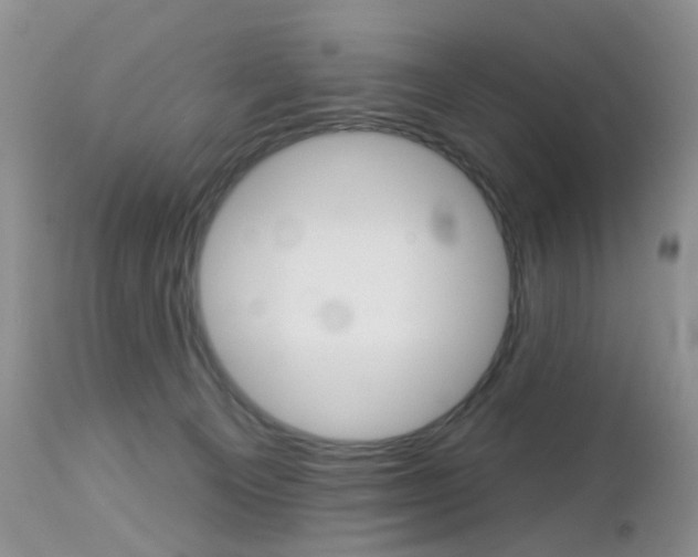 X0000113120129200908281051