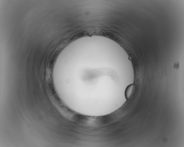 X0000113120130200908281051