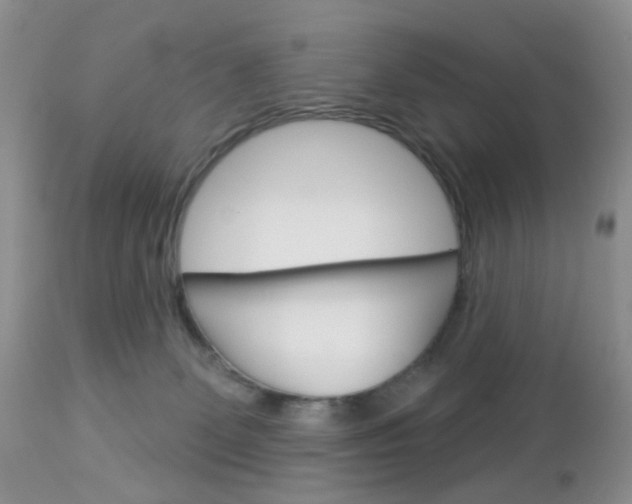 X0000113120131200908281051