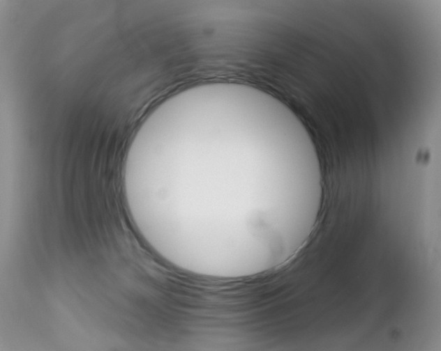 X0000113120132200908281051