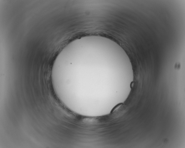 X0000113120133200908281051