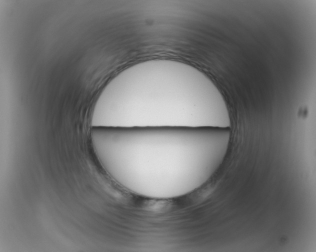 X0000113120135200908281051