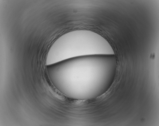 X0000113120136200908281051
