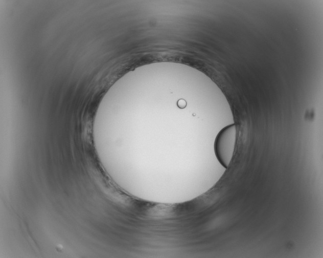 X0000113120138200908281051