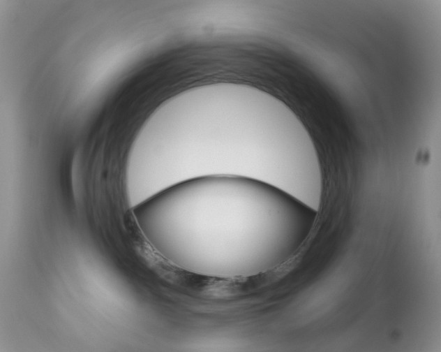 X0000113120140200908281051